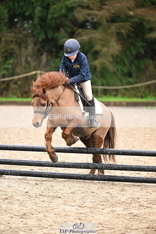 260222A-112626-00611 - 50cm All sections