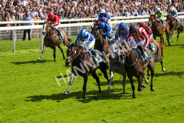 150723-Race 3-Pride of America-8810 - Race 3 3.10pm John Smith's Cup Handicap