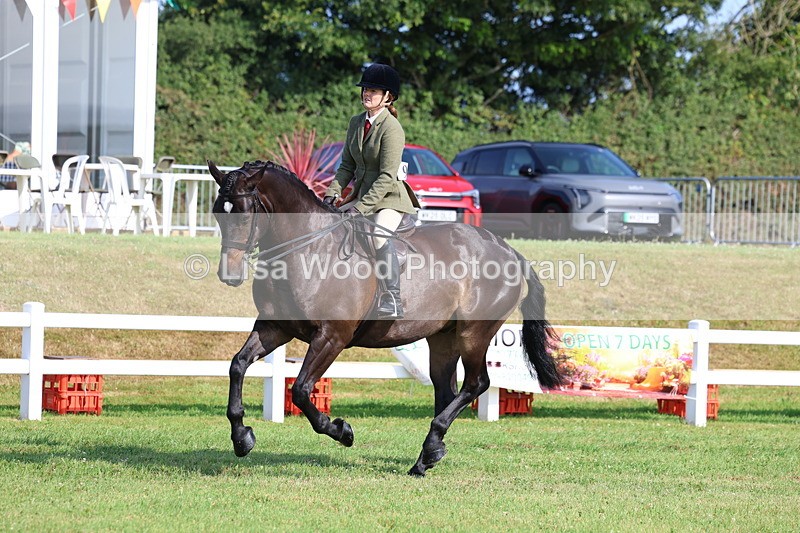 3E7A8631 - Class 3: Rising Star S/L Hunter