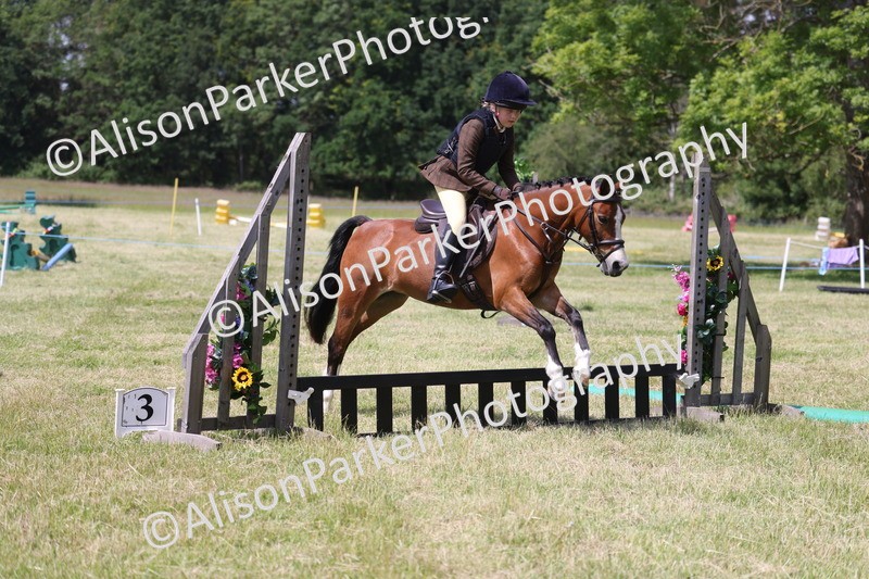 20260614-1748 - Class 21 - Novice Working Hunter Pony