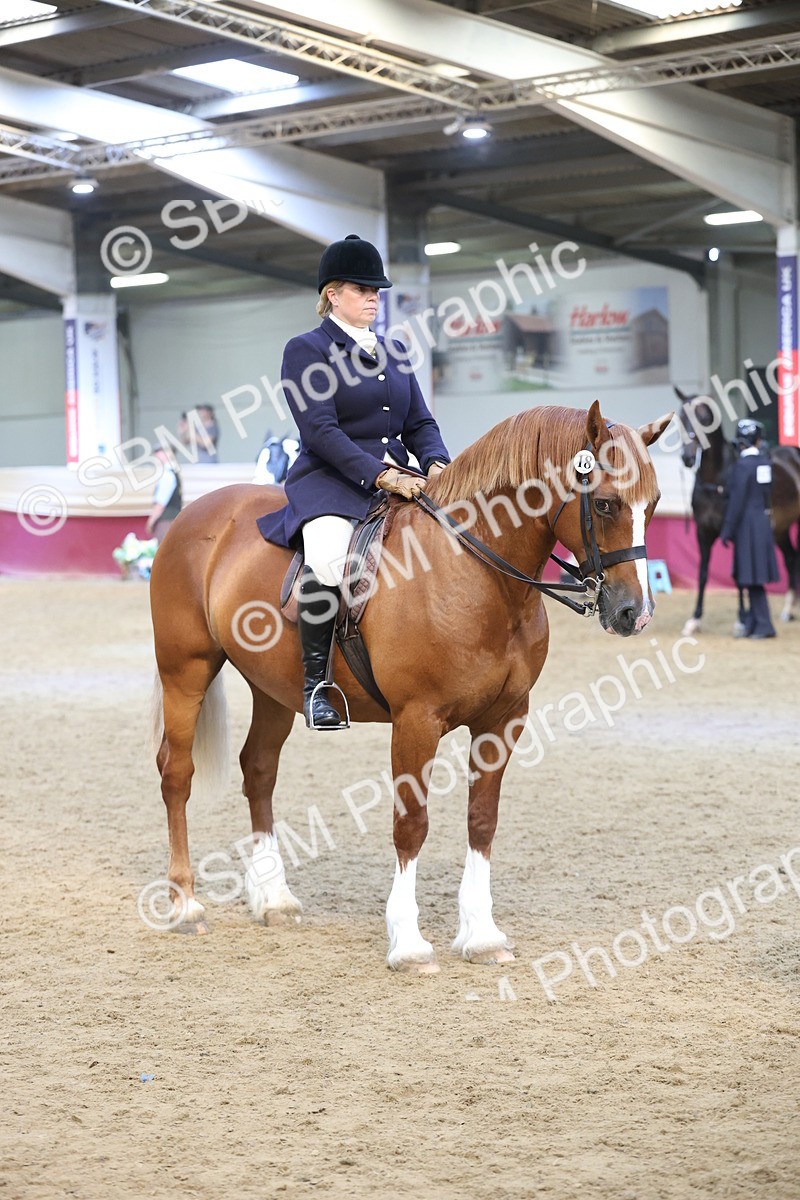 SBM_23817 - class 906 - Supreme Final - Ridden Pre Vet