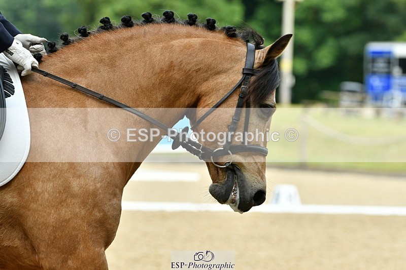 230623-093335-00181 - Cls 1 Prelim 17 Start to 9.35 break