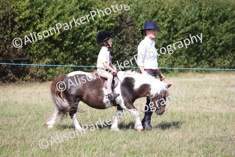 20260906-2733 - Class 25 - Absolute Beginners Pony