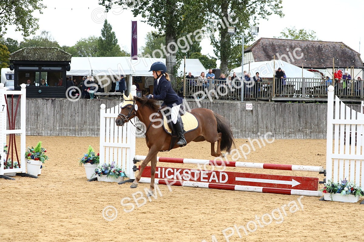 SBM_60133 - J63 - Junior Pony 50cm Championship