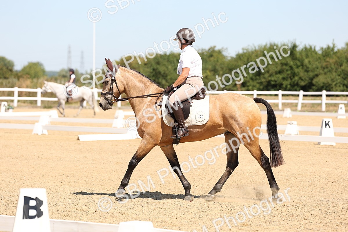 SBM_001220 - Intro 2