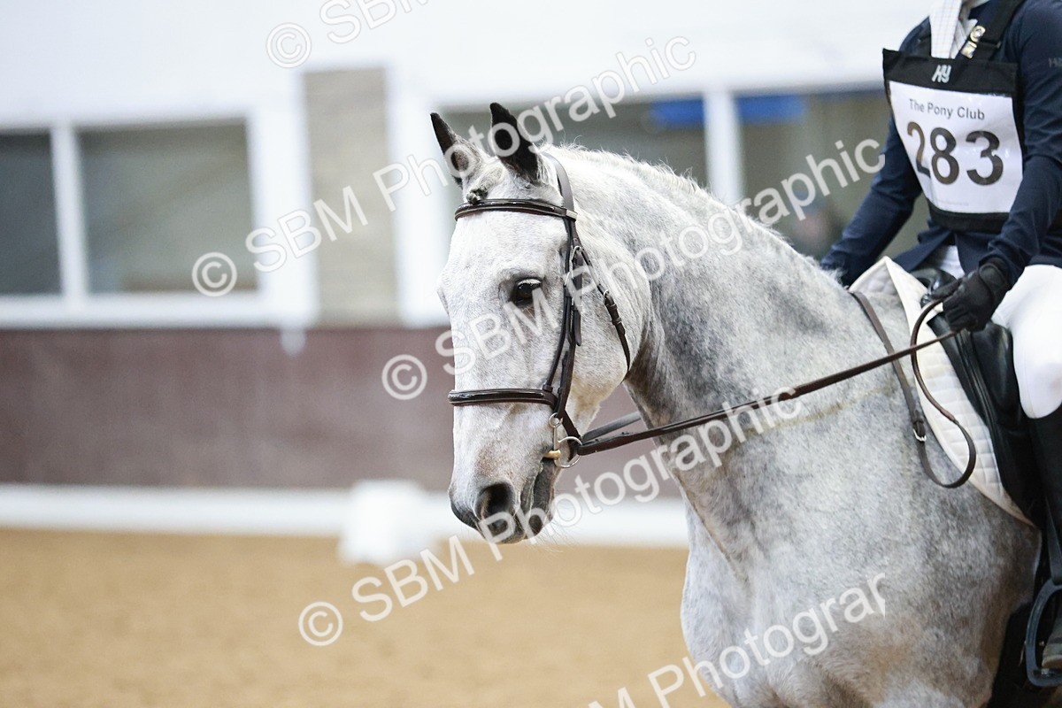 SBM_004393 - Class 2 - Novice 2020