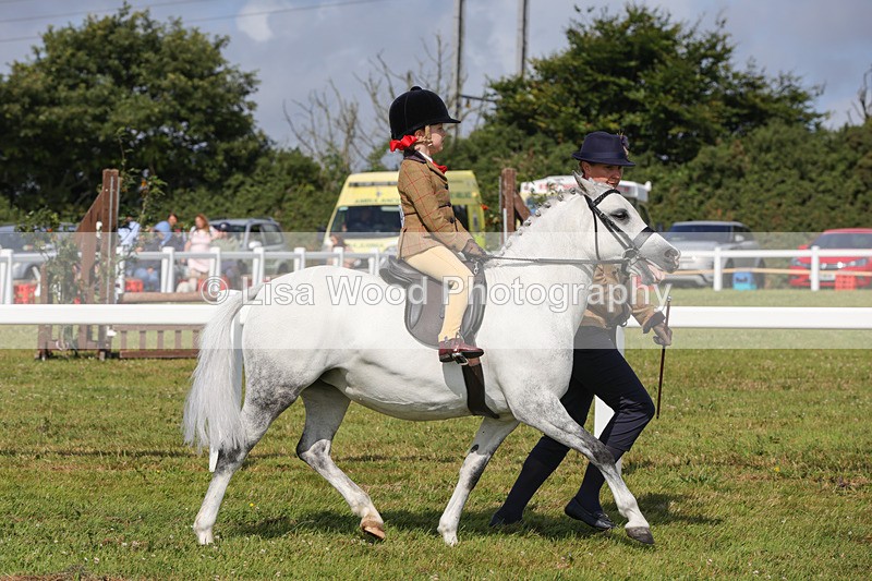1X9A3598 - Class 29: Lead Rein SP/SHP