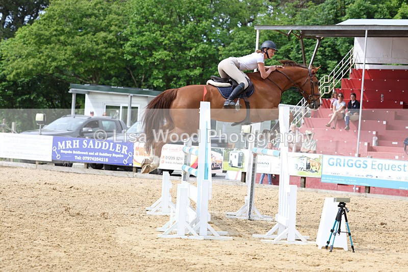 3E7A7767 - Class 8: Senior Foxhunter/1.20 open