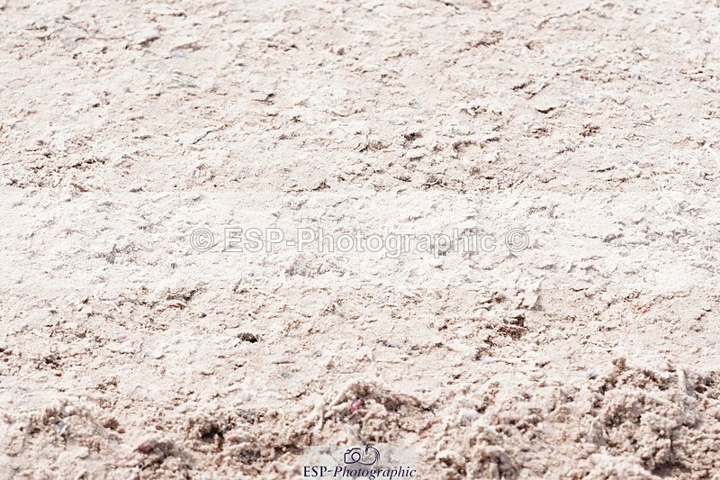 250425-132514-09987 - Cls 34 Young Horse 7yr old