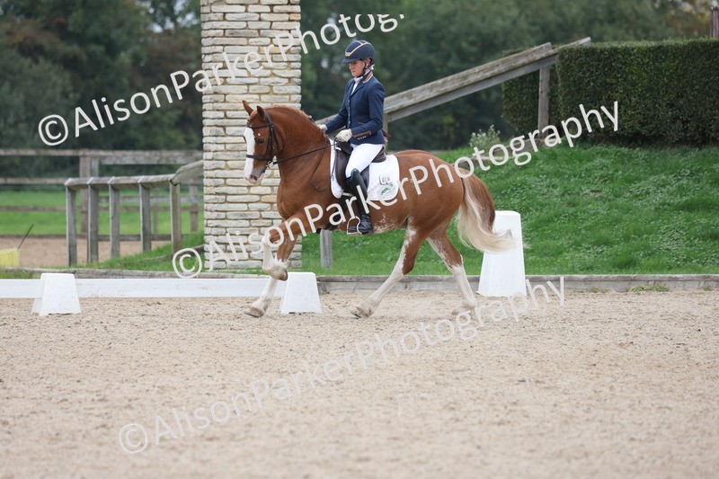 20251011-0415 - Class 4 - Novice 2