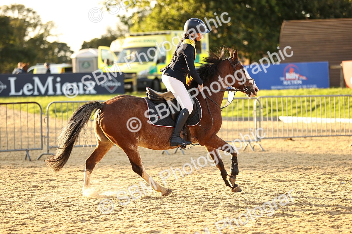 SBM_56145 - J10 - Junior Pony 75cm Championship