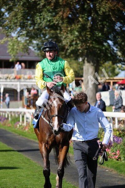yr08102021r2-34 - Race 2 2.40pm Racing to School EBF Novice Stakes