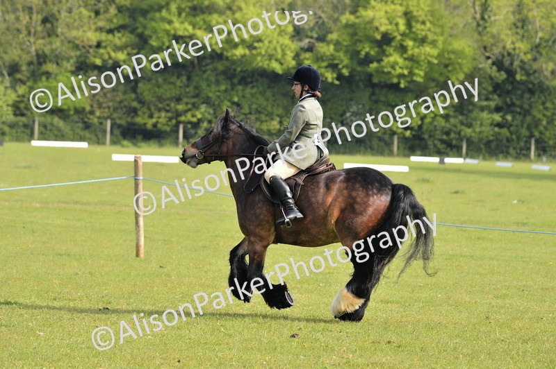 20260426-0893 - Class 18 - Novice Showing
