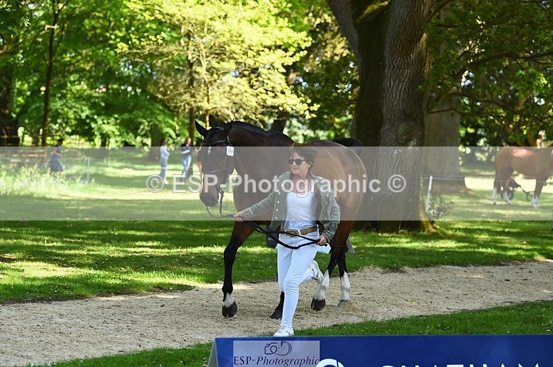 230524-154616-00487 - 369-GIDO_G-Sally_Chamberlain-WEDTrotUp+DR