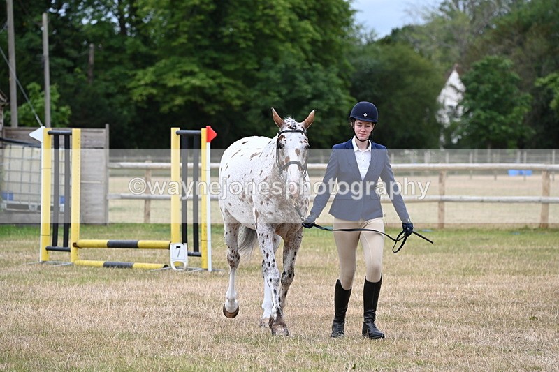 WJ6_4287 - Class 10 Coloured In-hand