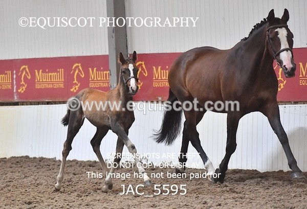 JAC_5595 - 13 Zi Real McCoy