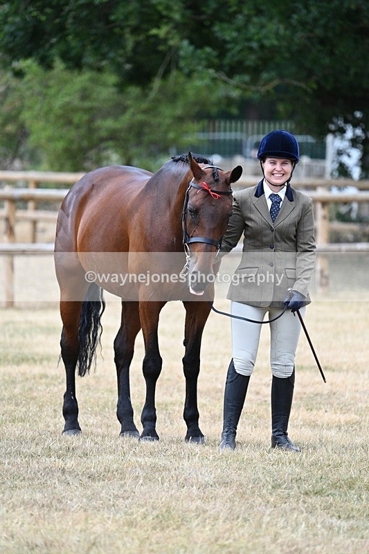WJ7_1840 - Class 4a Prettiest Mare 14.2hh and over hand