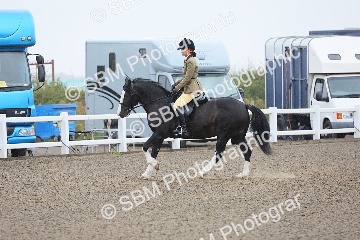 SBM_19867 - Class 801 - Ridden Veteran