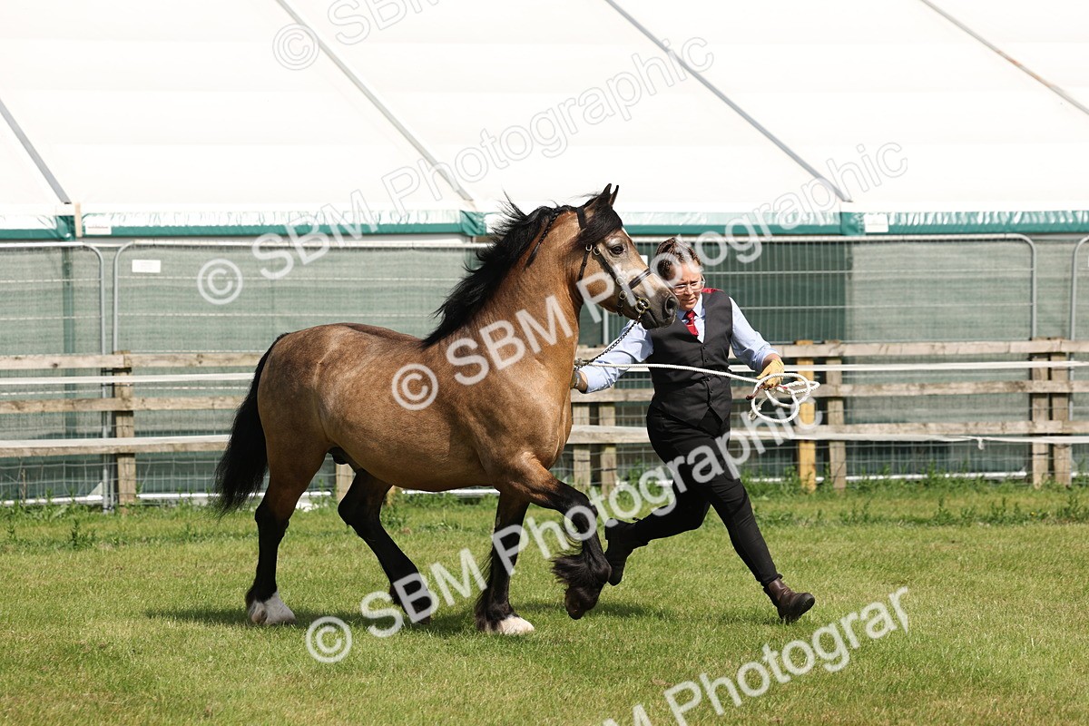 SBM_02279