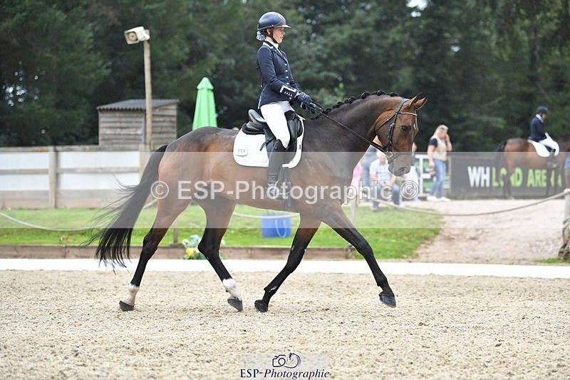 230812-124443-04200 - Cls 6 Novice Silver 12.10 to End