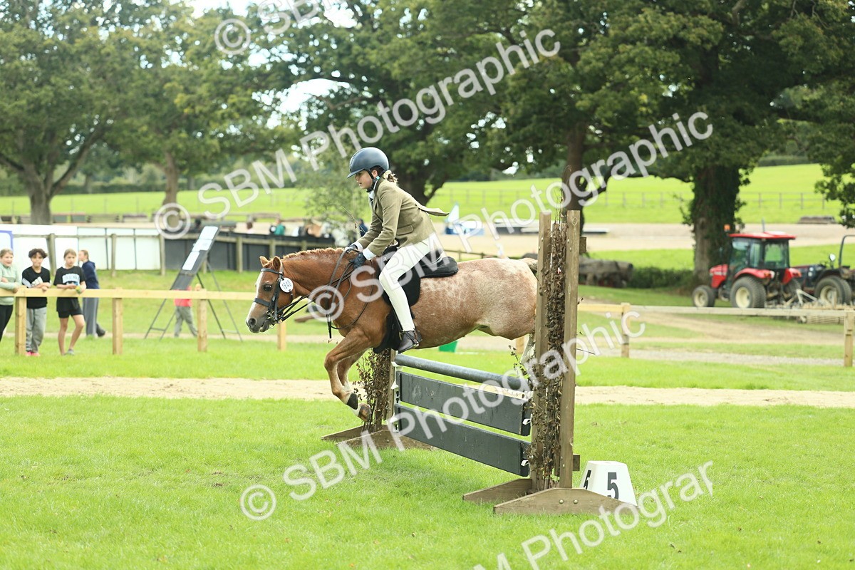 SBM_44679 - S31 - Working Hunter Pony