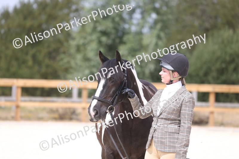 20260802-1520 - Class 16 - Best Horse or Pony
