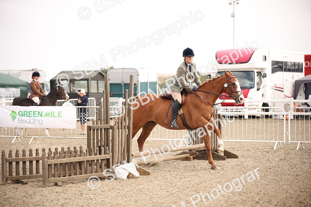 SBM_13577 - Class 406b - Working Veteran 50cm (20+)