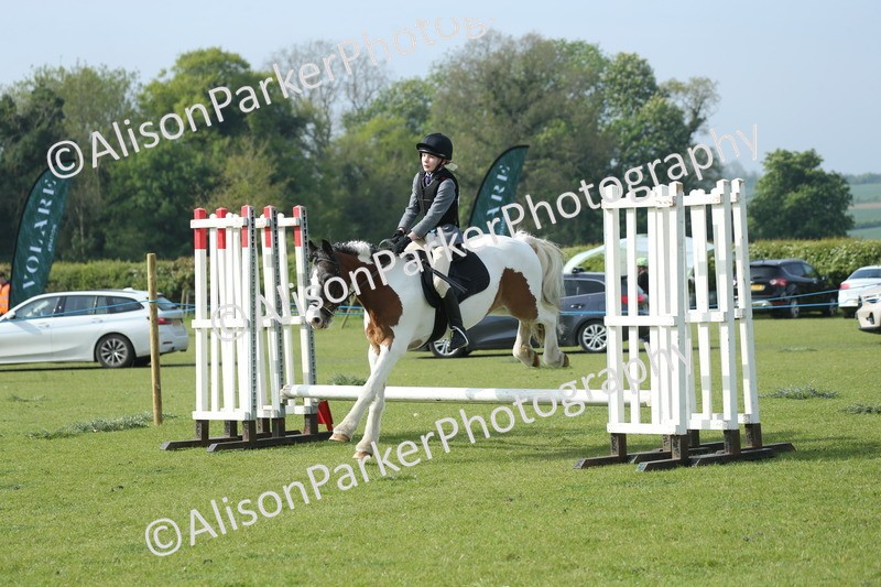 20260426-0201 - Class 13 - Rookie Jumping 50cm