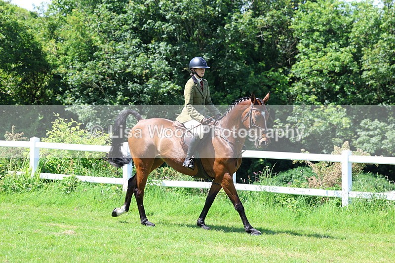 3E7A7190 - Class 30: Novice Working Hunter