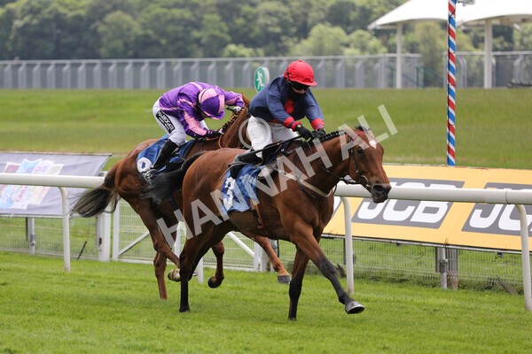 yr12062021r1-27 - Race 1 2.00pm Queen Mother's Cup