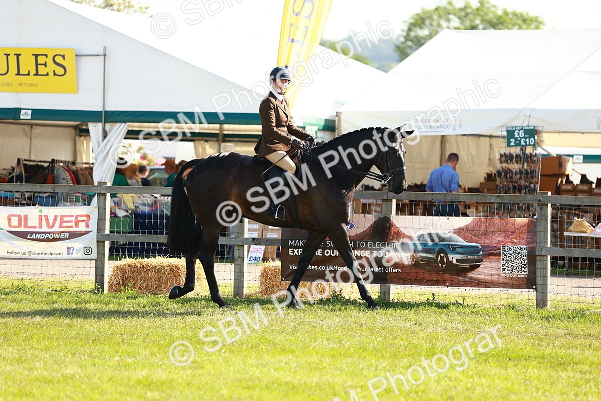 SBM_10866 - Class 66-69 - RIHS Ridden Hunters Inc Small Hunter