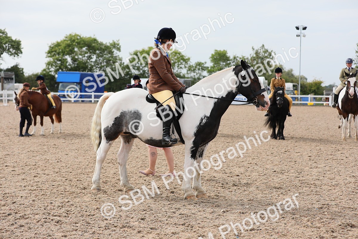 SBM_16966 - Class 314 Family Horse/Pony