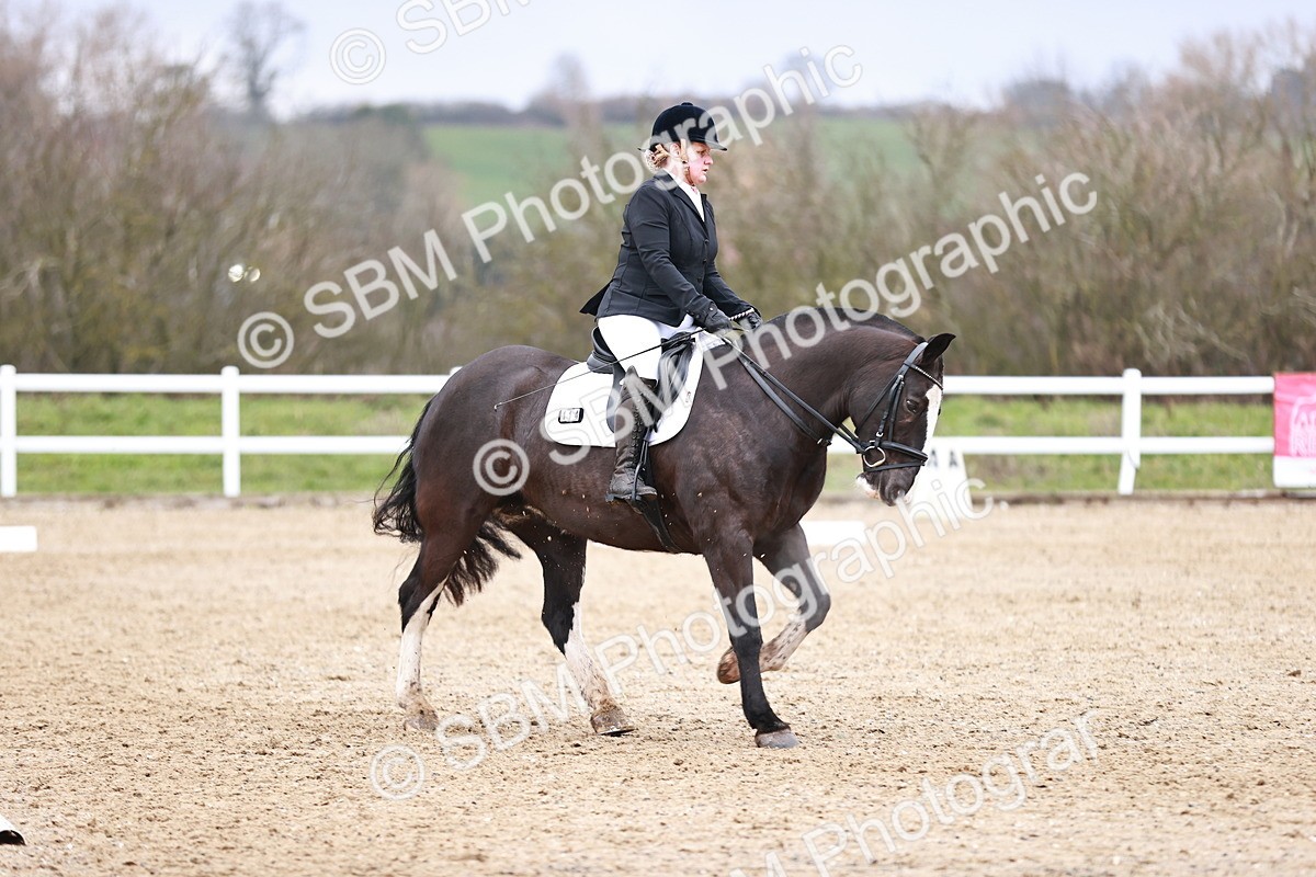 SBM_005339 - Elementary 1