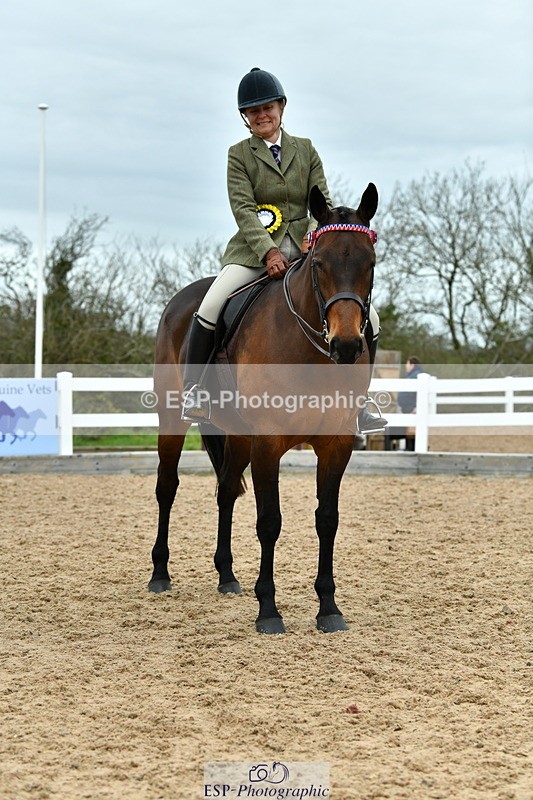 230416A-140053-04986 - Cls 60 Ridden Show Horse