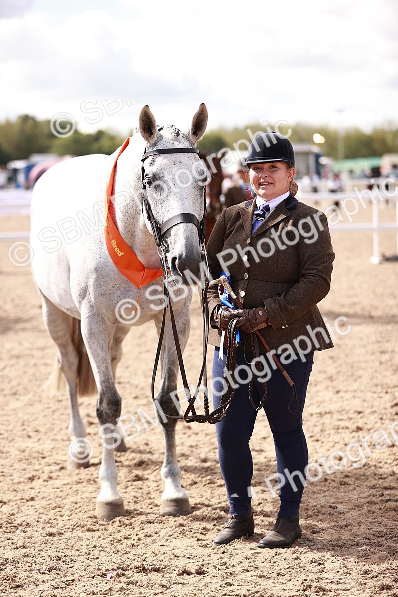 SBM_13358 - class 406 - IH Hunter