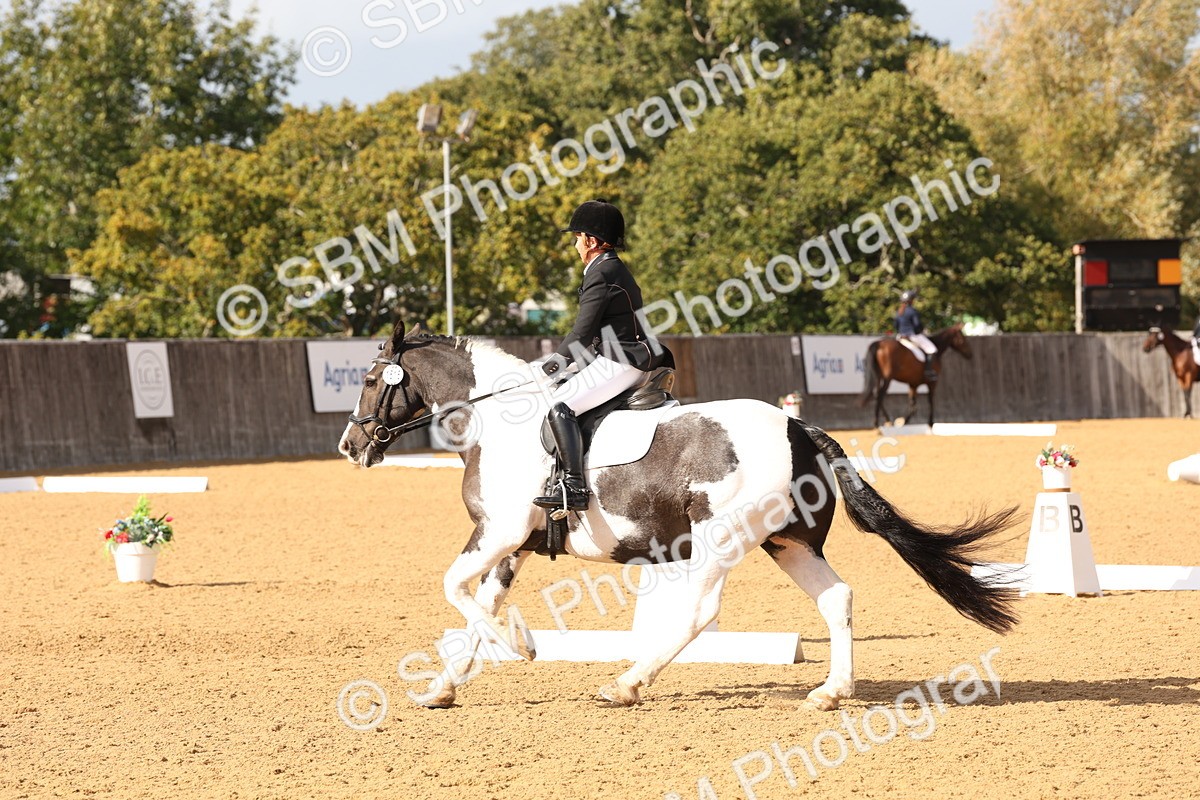 SBM_24699 - D17 - Grand Tour Championship Novice 3
