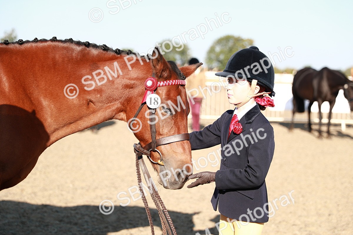 SBM_00072 - Class 40 Best Turned Out IH