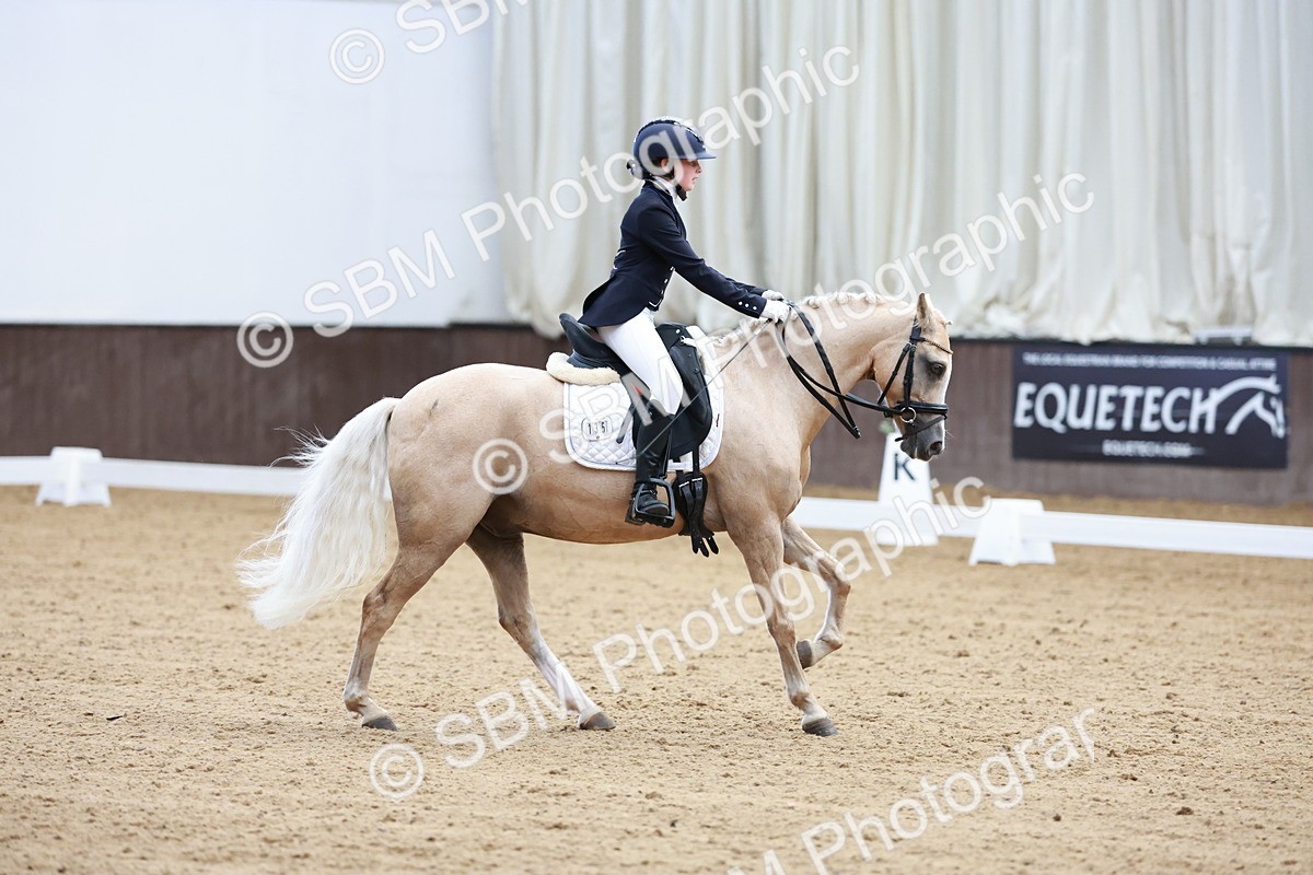 SBM_017397 - Class15 - FEI Pony