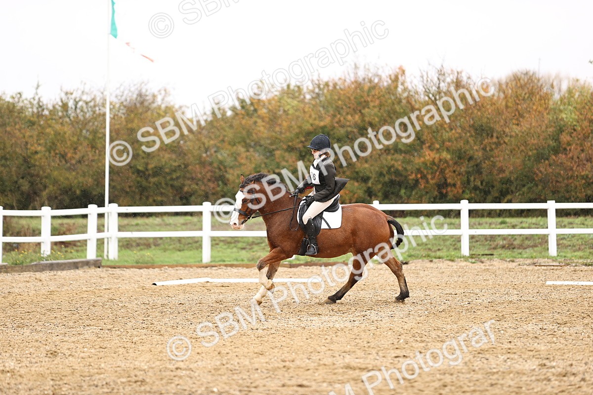 SBM_001950 - Prelim B