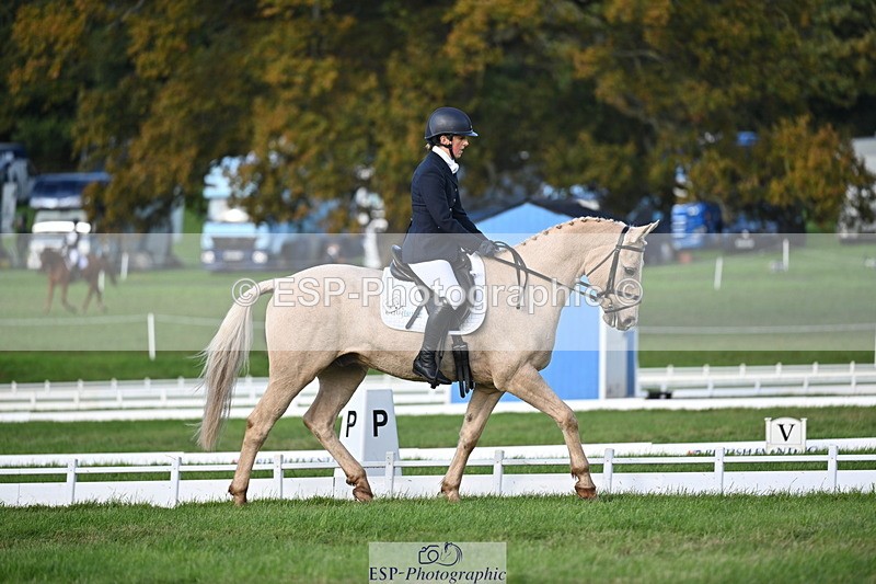 251024A-150840-13959 - E-395-Rolline.OCallaghan