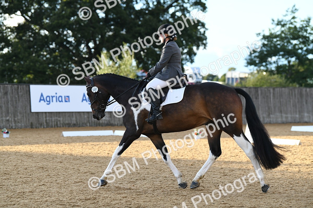 SBM_13395 - D19 Small Tour Championship Elementary 42