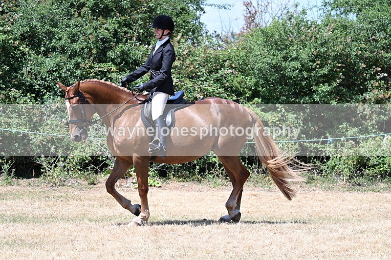 WJ7_2759 - Class 7 Riding Club Show Horse