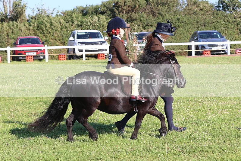 JPP_0848 - Class 16: Cornish Combination Leading Rein