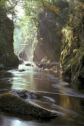 Fairy Glen Betws y Coed 5 - Sceniks.com - Snowdonia landscape photographs by Dave O'Shea