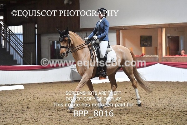 BPP_8016 - MED TEST 4