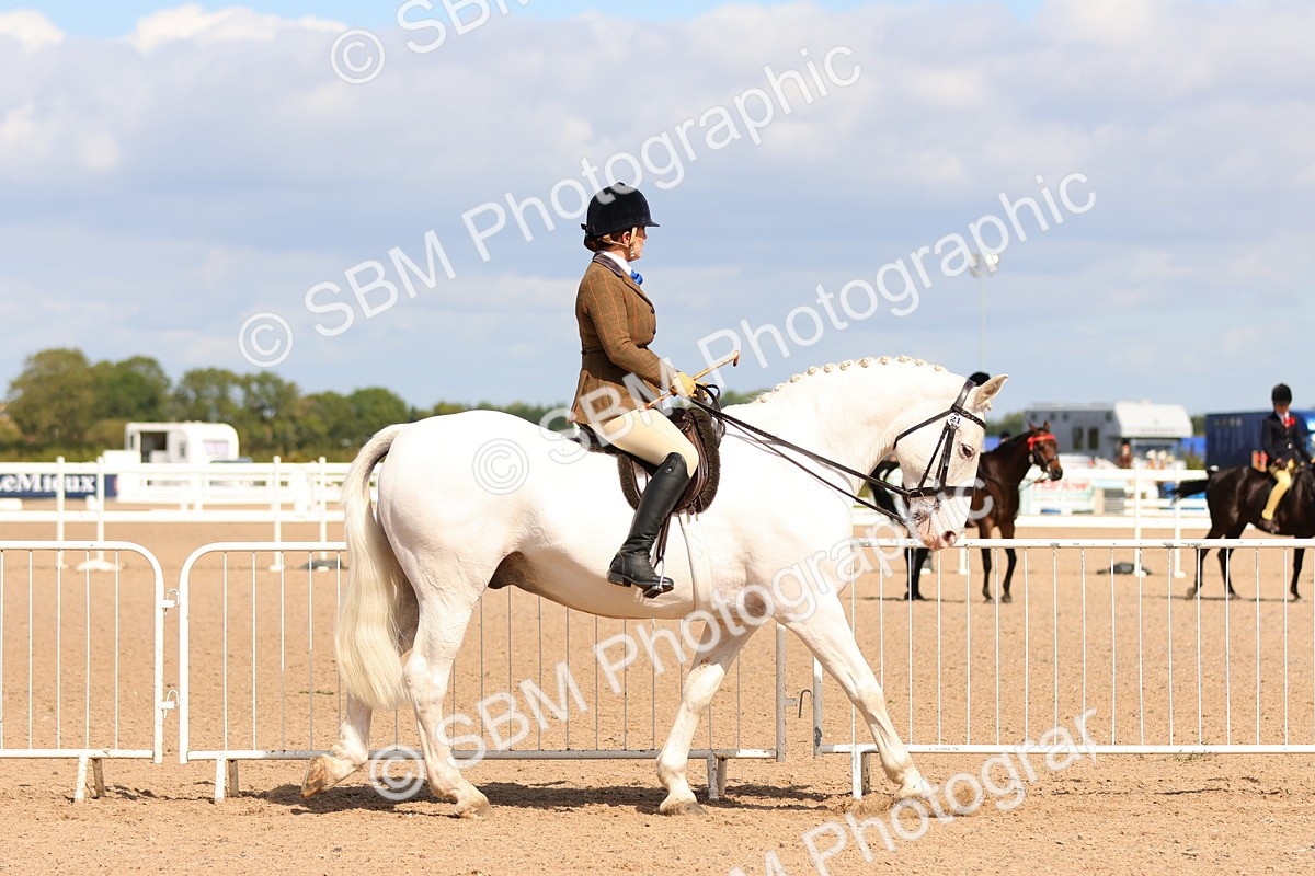 SBM_13460 - Class 212 - Ridden Hunter  - Large