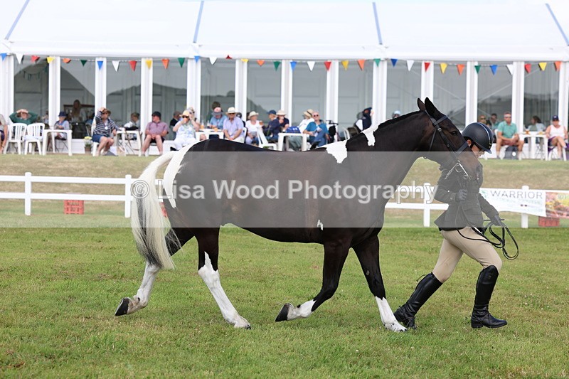 3E7A0012 - Class 5: Rising Star Lightweight/Heavyweight Cobs