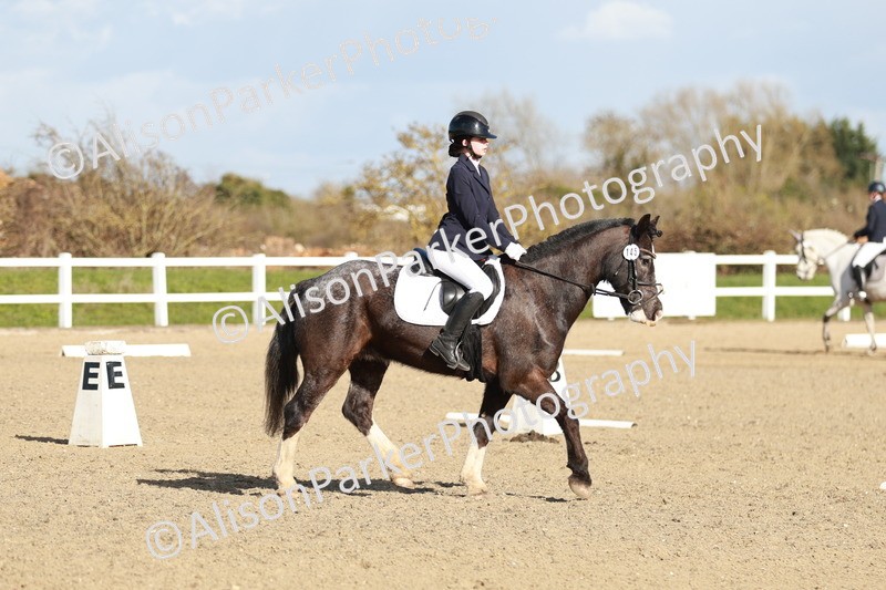 20260314-4543 - DR4 - Prelim 2