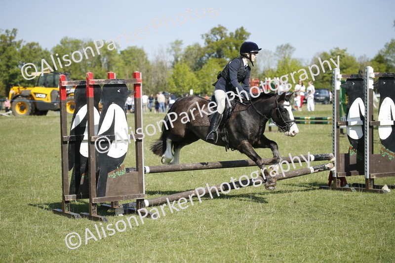 20250427-2034 - Class 13 - Novice Jumping 60cm