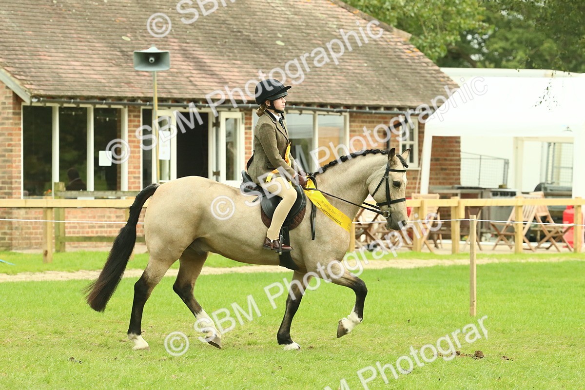SBM_74989 - Ridden Pony Supreme Championship